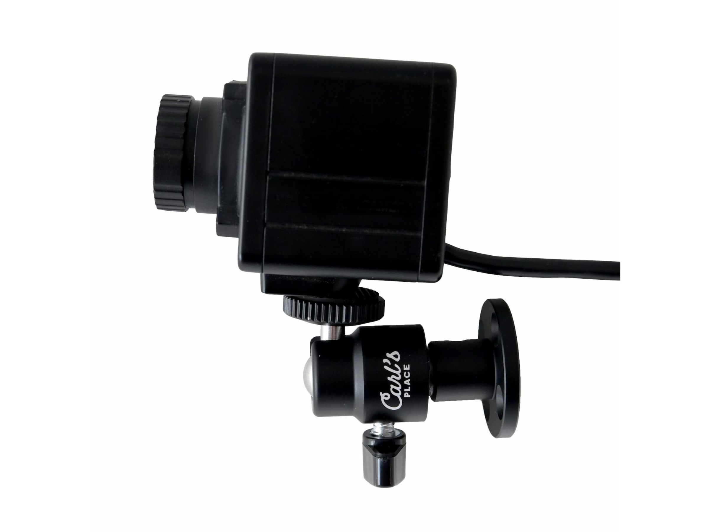 Carl's Place Swing Camera Wall Mount