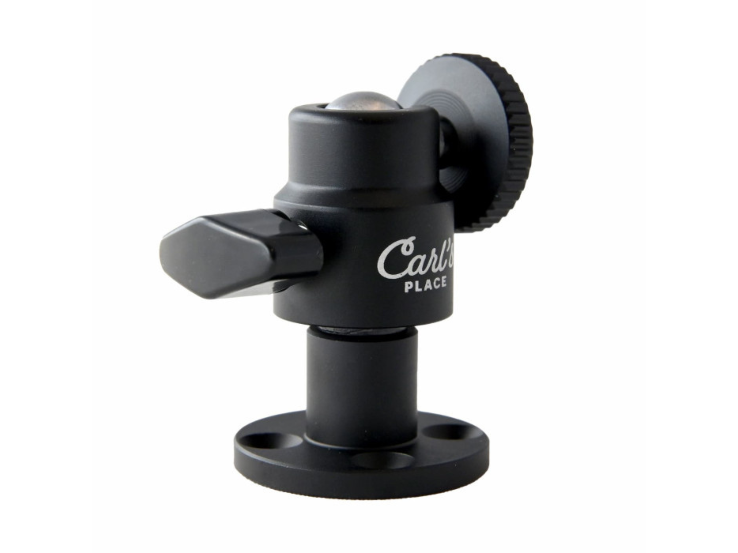 Carl's Place Swing Camera Wall Mount