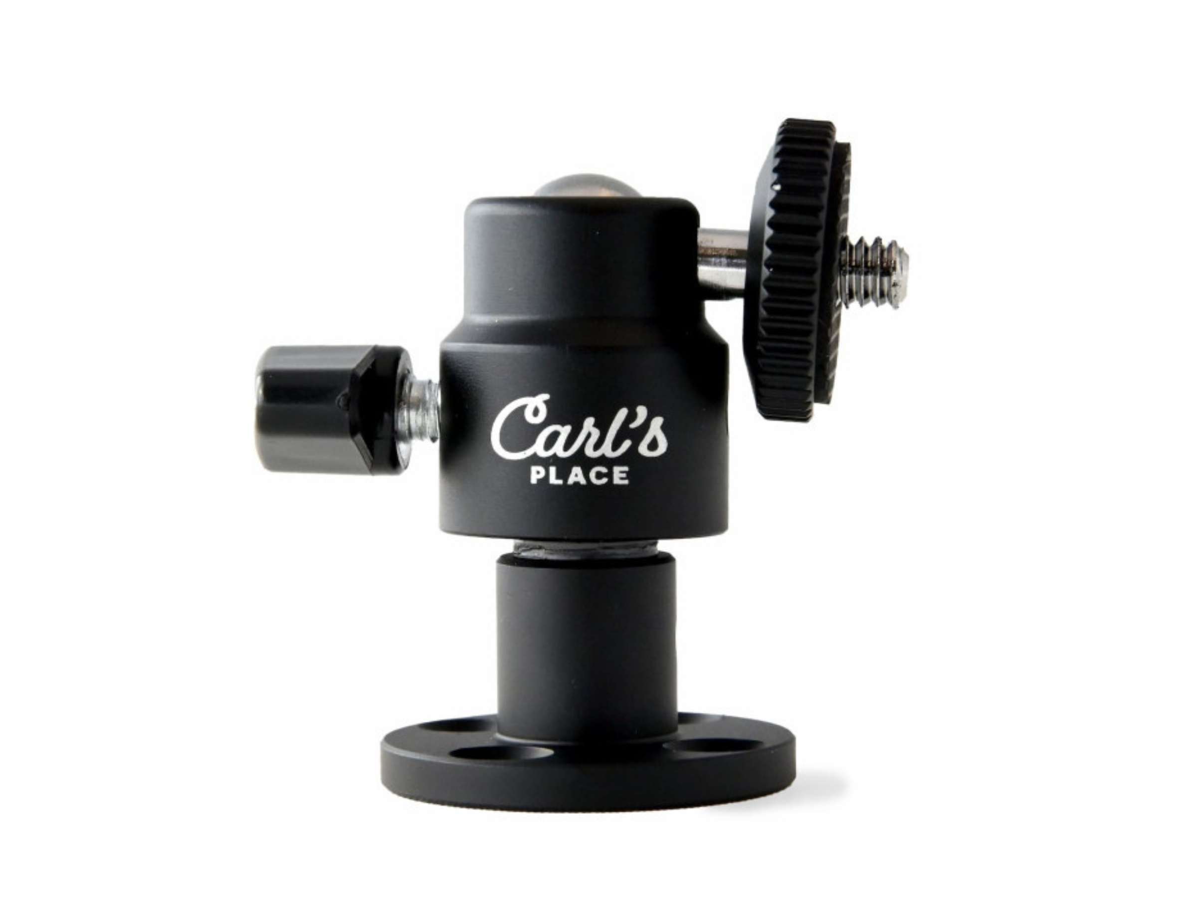 Carl's Place Swing Camera Wall Mount