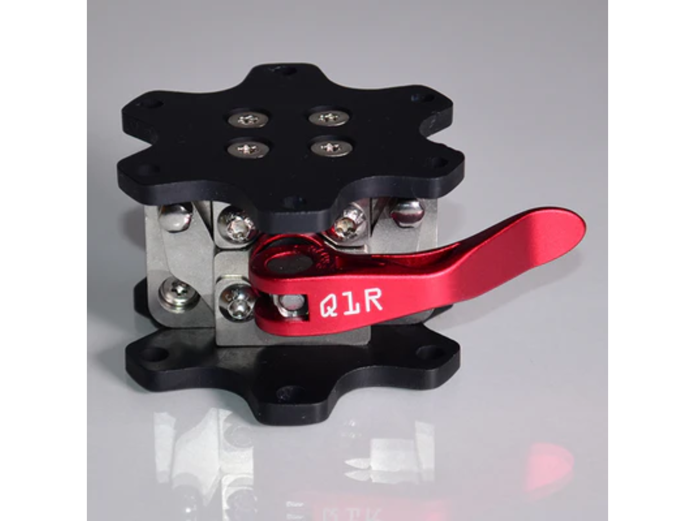 Ascher Racing Buchfink Q1R Base Side